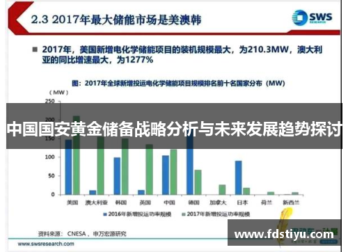 中国国安黄金储备战略分析与未来发展趋势探讨
