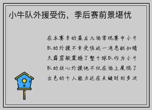 小牛队外援受伤，季后赛前景堪忧